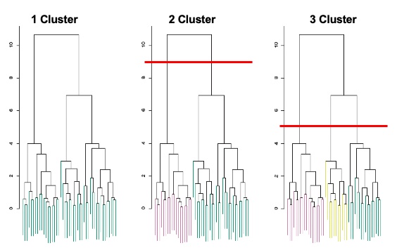 Example Dendogram