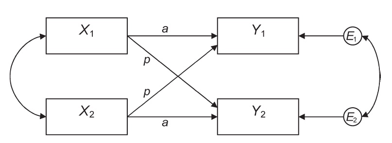 APIM Model (Kenny, Kashy & Cook, 2006)