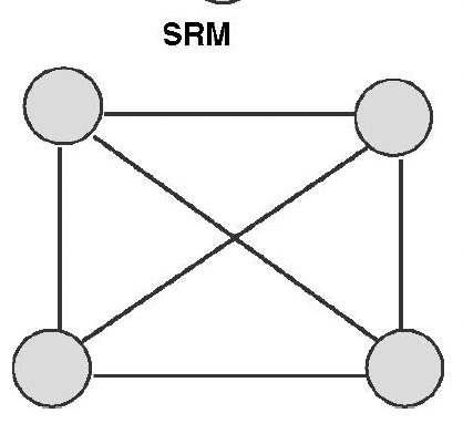 Social Relations Model (Kenny, Kashy & Cook, 2006)