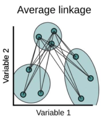 Average Linkage