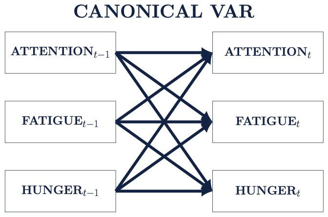 N = 1 VAR Model